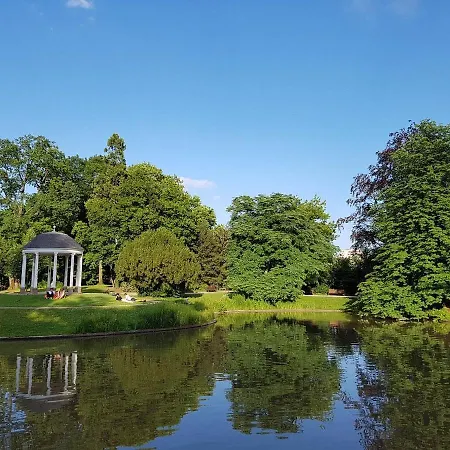Cellar Centre De - 5 Min Conseil De L'europe Appartement Strasbourg