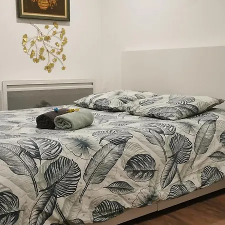 Cellar Centre De - 5 Min Conseil De L'europe Appartement Strasbourg